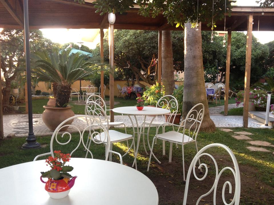 Our garden